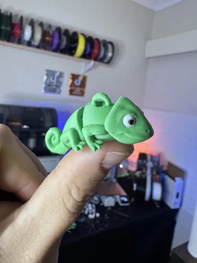 https://makerworld.bblmw.com/makerworld/model/1130110/1130200/ratings/4f599db0-117e-11f0-9a0b-fb277244b66b.jpg