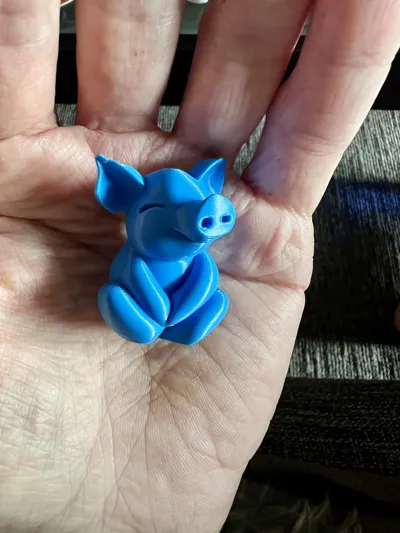 https://makerworld.bblmw.com/makerworld/model/1130690/1137985/ratings/41666890-0a4f-11f0-af0f-39d84d2eba91.jpg