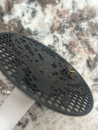 https://makerworld.bblmw.com/makerworld/model/1130740/1130998/ratings/08551830-68e5-11f1-b4e7-03db0cf3e158.jpg