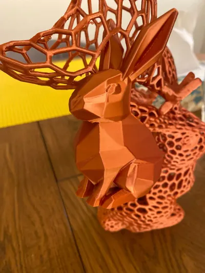 https://makerworld.bblmw.com/makerworld/model/1130992/1131281/ratings/af1f46d0-17d9-11f0-8125-838beeec656e.jpg