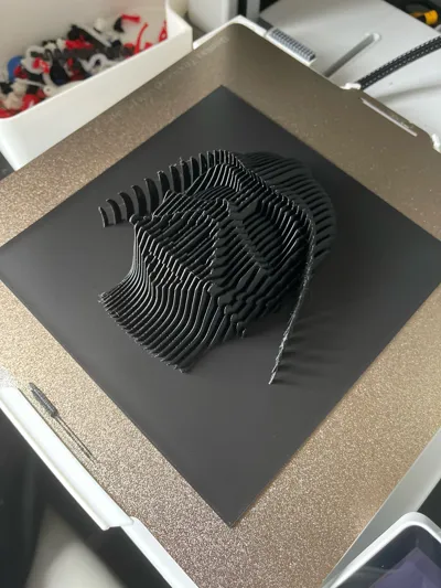 https://makerworld.bblmw.com/makerworld/model/1131156/1131476/ratings/91e701e0-25fb-11f0-a56e-2dcbe36d5230.jpg