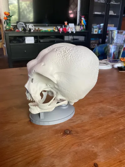 https://makerworld.bblmw.com/makerworld/model/1132251/1132698/ratings/9ca4f460-2e21-11f0-bd11-1d6e3e6b9053.jpg