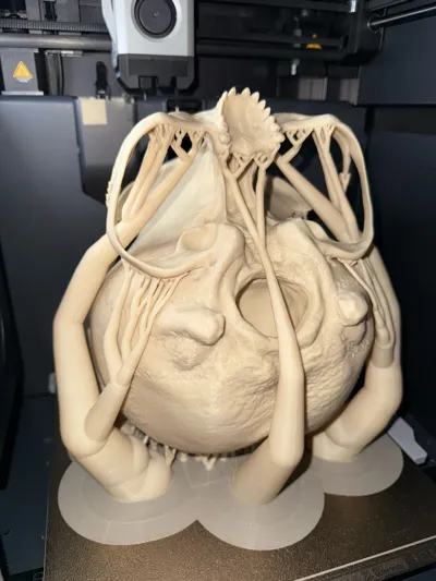 https://makerworld.bblmw.com/makerworld/model/1132251/1132698/ratings/c9a64d10-615c-11f0-9bbf-3f8c29a6be7f.jpg