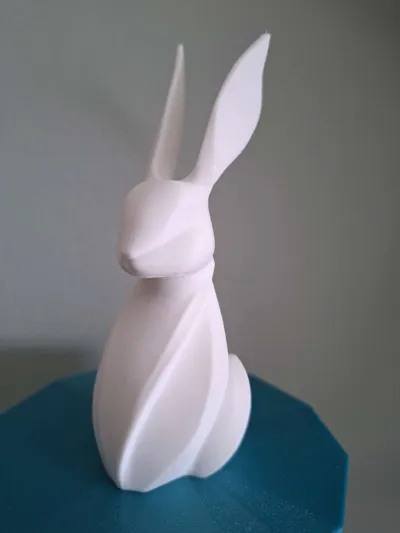 https://makerworld.bblmw.com/makerworld/model/1133315/1133937/ratings/cecddf80-18f8-11f0-8f6e-110518df4eb4.jpg