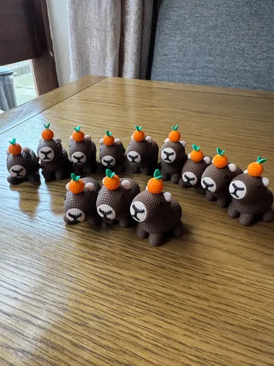 https://makerworld.bblmw.com/makerworld/model/1133793/1134578/ratings/ff1ba090-7231-11f0-96de-ab6893d49ca4.jpg