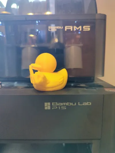 https://makerworld.bblmw.com/makerworld/model/1134001/1570396/ratings/5c1f1730-8598-11f0-aa82-d70a3aa38490.jpg