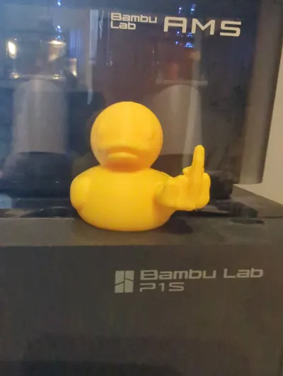 https://makerworld.bblmw.com/makerworld/model/1134001/1570396/ratings/5c2be870-8598-11f0-aa82-d70a3aa38490.jpg
