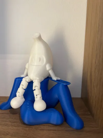 https://makerworld.bblmw.com/makerworld/model/1134067/1134915/ratings/88338350-2982-11f0-9cae-89f147f48244.jpg
