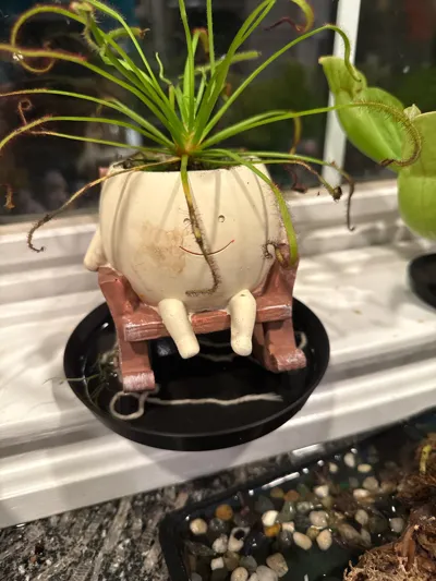 https://makerworld.bblmw.com/makerworld/model/1134449/1135355/ratings/02c23130-3085-11f0-b973-ab95d408fb7f.jpg