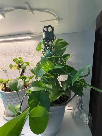 https://makerworld.bblmw.com/makerworld/model/1134804/1135802/ratings/2a4cd610-c58b-11f0-8d0b-47b04ab9c00a.jpg