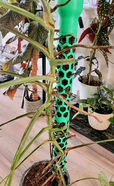 https://makerworld.bblmw.com/makerworld/model/1134804/1135802/ratings/c6ec5450-4caf-11f0-9e6e-f755a9ce628d.jpg