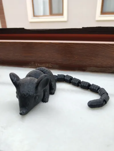 https://makerworld.bblmw.com/makerworld/model/1136038/1137312/ratings/4e994ee0-ff3e-11ef-a515-07806e68763a.jpg