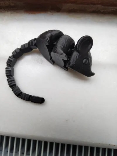 https://makerworld.bblmw.com/makerworld/model/1136038/1137312/ratings/4e994ee1-ff3e-11ef-a515-07806e68763a.jpg