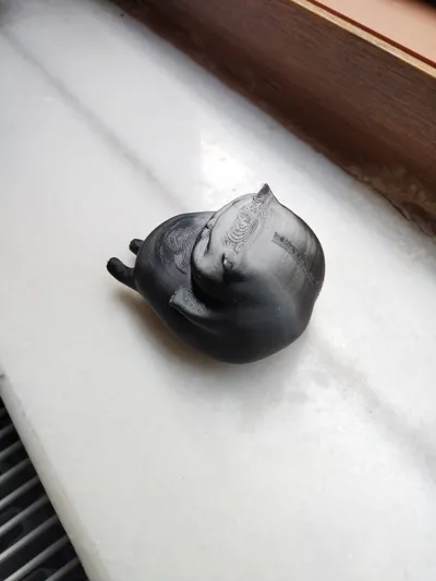 https://makerworld.bblmw.com/makerworld/model/1136419/1137755/ratings/00c83cc0-ff3f-11ef-a515-07806e68763a.jpg