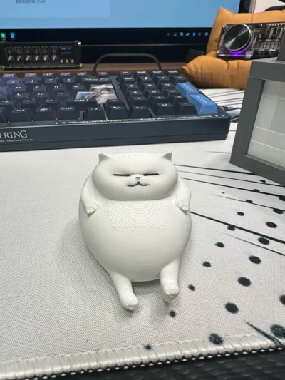 https://makerworld.bblmw.com/makerworld/model/1136419/1137755/ratings/2f4c02d0-fac4-11f0-87a2-6dd1694e5203.jpg