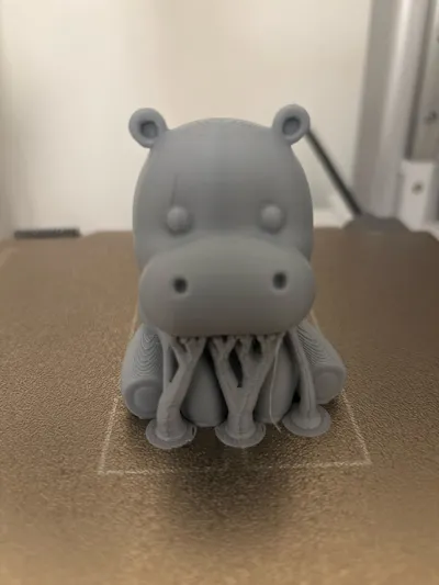 https://makerworld.bblmw.com/makerworld/model/1137098/1138582/ratings/2450a8d0-3978-11f0-8a7b-5b0c82dc98e2.jpg