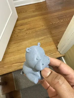 https://makerworld.bblmw.com/makerworld/model/1137098/1138582/ratings/6f1d9fa0-f871-11ef-98de-ad540bbe567b.jpg