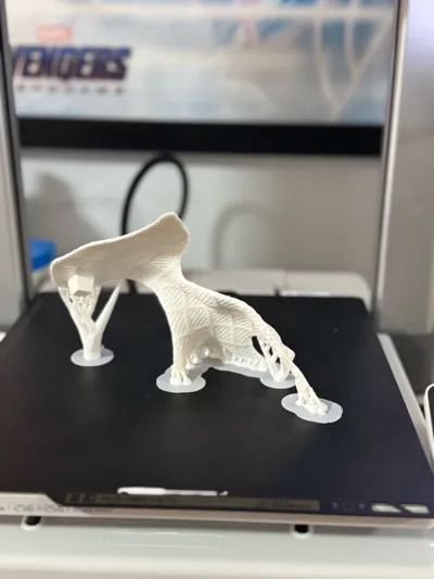 https://makerworld.bblmw.com/makerworld/model/1138009/1139809/ratings/5b9d0370-2383-11f0-b3b7-45007a84fe81.jpg