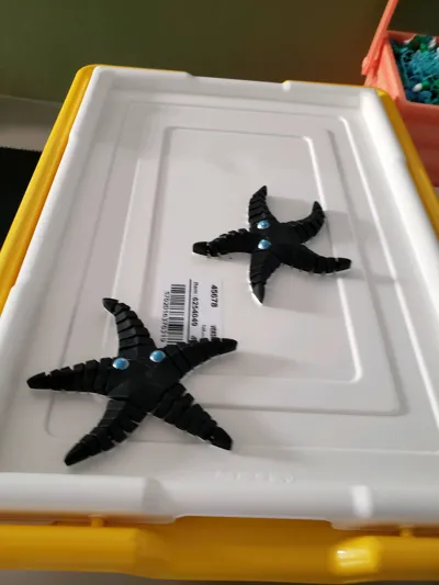 https://makerworld.bblmw.com/makerworld/model/1139754/1141874/ratings/a9842aa0-6857-11f0-865e-976f1cd3b5dd.jpg