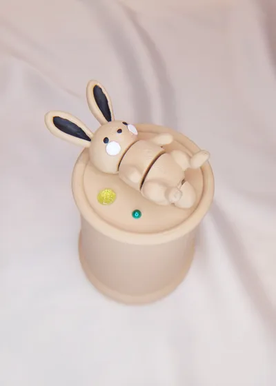 https://makerworld.bblmw.com/makerworld/model/1141225/1143658/ratings/cdc09ff0-fb85-11ef-bbc4-2bb80e3e552d.jpg