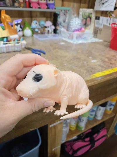 https://makerworld.bblmw.com/makerworld/model/1141437/1143901/ratings/f9dcfc60-7578-11f0-a1f3-e7505432a829.jpg