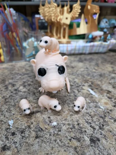 https://makerworld.bblmw.com/makerworld/model/1141437/1143901/ratings/f9e64b30-7578-11f0-a1f3-e7505432a829.jpg