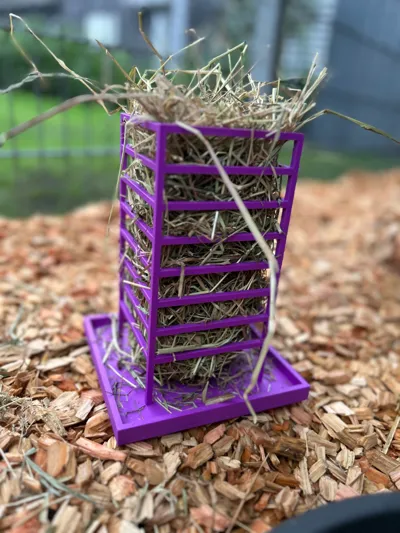 https://makerworld.bblmw.com/makerworld/model/1141741/1144255/ratings/2a851710-fc94-11f0-a8c7-f3ca002297c4.jpg