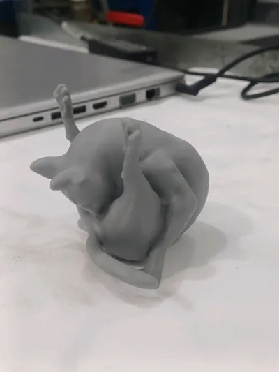 https://makerworld.bblmw.com/makerworld/model/1142088/1144608/ratings/39f9b980-27b0-11f0-a661-c3a4d0799516.jpg