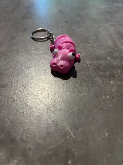 https://makerworld.bblmw.com/makerworld/model/1142172/1144693/ratings/03f06c90-672e-11f0-a672-7f0b3748b3cb.jpg