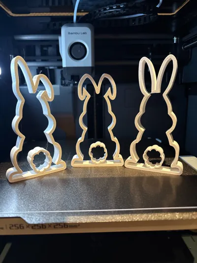 https://makerworld.bblmw.com/makerworld/model/1143301/1146022/ratings/a8b2abb0-e8bd-11f0-a33d-21697b92a847.jpg