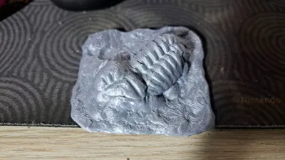 https://makerworld.bblmw.com/makerworld/model/1143325/1146056/ratings/68021df0-feaa-11f0-a23b-65cb0b6e53ac.jpg