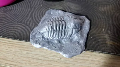 https://makerworld.bblmw.com/makerworld/model/1143325/1146056/ratings/681ea6a0-feaa-11f0-a23b-65cb0b6e53ac.jpg