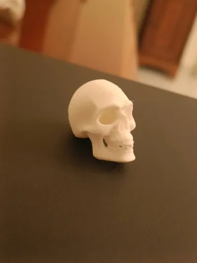https://makerworld.bblmw.com/makerworld/model/1143509/1150949/ratings/e7228a70-aa0e-11f0-aa94-f10b5e256a26.jpg