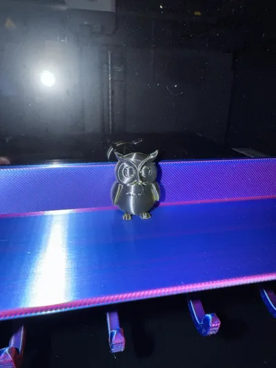 https://makerworld.bblmw.com/makerworld/model/1143590/1146368/ratings/605da1d0-707c-11f0-81ce-f378142992b4.jpg