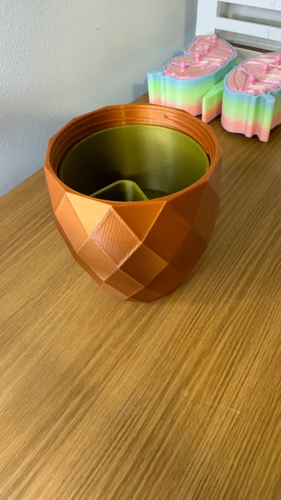 https://makerworld.bblmw.com/makerworld/model/1143617/1146418/ratings/52c0f330-b1b1-11f0-bda3-eb9f07441f1a.jpg