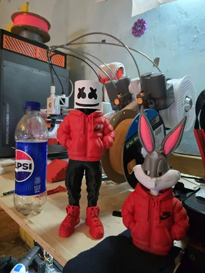 https://makerworld.bblmw.com/makerworld/model/1143888/1162488/ratings/37d84db0-993e-11f0-b861-251a2f9442c9.jpg