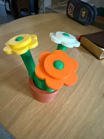 https://makerworld.bblmw.com/makerworld/model/1144408/1147344/ratings/bbca5200-8d89-11f0-8d62-c1242057e8f7.jpg