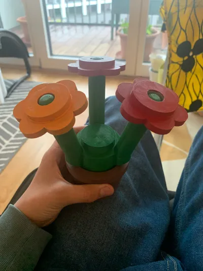 https://makerworld.bblmw.com/makerworld/model/1144408/1147353/ratings/39385b60-29cb-11f0-a0e9-21e78898f103.jpg
