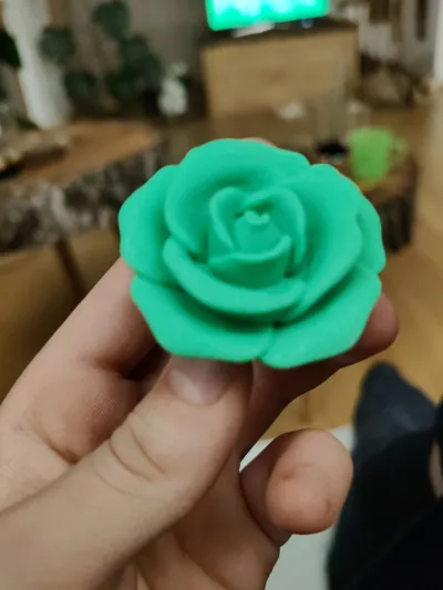 https://makerworld.bblmw.com/makerworld/model/1144437/1147380/ratings/e3892ae0-2b79-11f0-990a-534de11d76a6.jpg