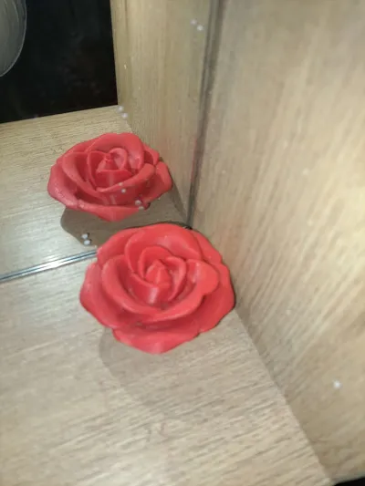 https://makerworld.bblmw.com/makerworld/model/1144437/1319189/ratings/1a4a9fc0-73ad-11f0-b6cb-95dc076f28da.jpg