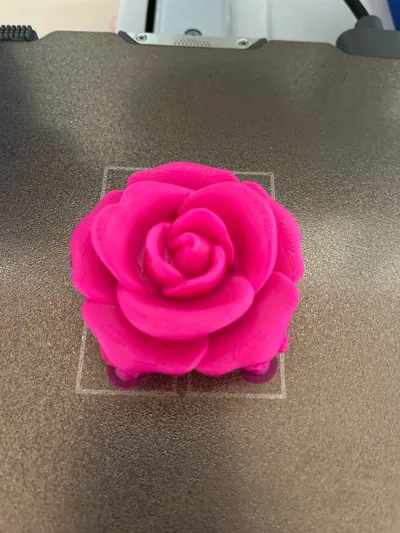 https://makerworld.bblmw.com/makerworld/model/1144437/1319189/ratings/49132fc0-6872-11f0-b6fd-d943ab645a3d.jpg