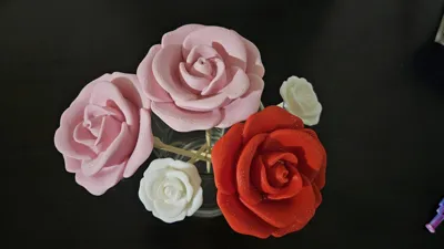 https://makerworld.bblmw.com/makerworld/model/1144437/1319192/ratings/ff521960-254f-11f0-aa9f-1b1e05ef5ec9.jpg