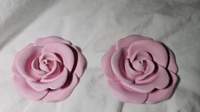 https://makerworld.bblmw.com/makerworld/model/1144437/1319192/ratings/ff572270-254f-11f0-aa9f-1b1e05ef5ec9.jpg