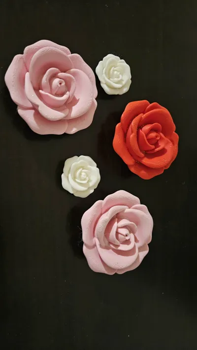 https://makerworld.bblmw.com/makerworld/model/1144437/1319192/ratings/ff73f940-254f-11f0-aa9f-1b1e05ef5ec9.jpg