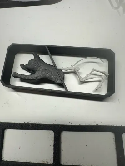 https://makerworld.bblmw.com/makerworld/model/1144518/1147491/ratings/76394dd0-4000-11f0-9176-4ddcfe0d74bf.jpg