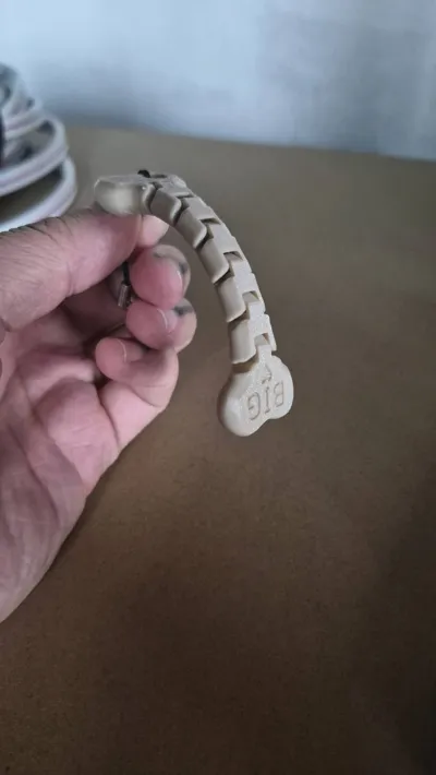 https://makerworld.bblmw.com/makerworld/model/1145150/1171954/ratings/b36b9c20-d34a-11f0-86d8-07e00d31aac3.jpg