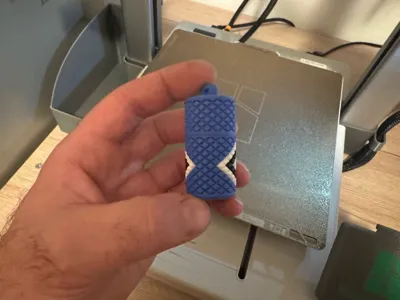 https://makerworld.bblmw.com/makerworld/model/1146114/1149385/ratings/e266b2b0-8504-11f0-9108-abe07a77b12a.jpg