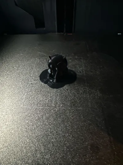 https://makerworld.bblmw.com/makerworld/model/1146350/1149668/ratings/cc7e1c30-5f4e-11f0-a72f-af0bfe0f82f8.jpg