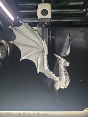 https://makerworld.bblmw.com/makerworld/model/1146491/1149812/ratings/56e78a60-0305-11f0-a5e1-e329e21ac99e.jpg
