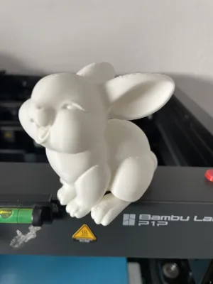 https://makerworld.bblmw.com/makerworld/model/1146743/1150093/ratings/99d23130-00c2-11f0-898b-9757d14aa8e0.jpg